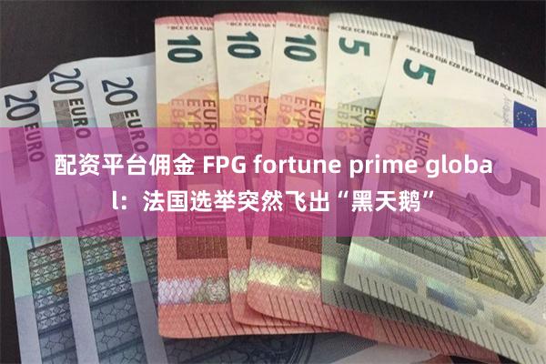 配资平台佣金 FPG fortune prime globa