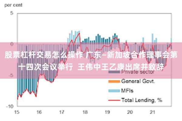 股票杠杆交易怎么操作 广东—新加坡合作理事会第十四次会议举行