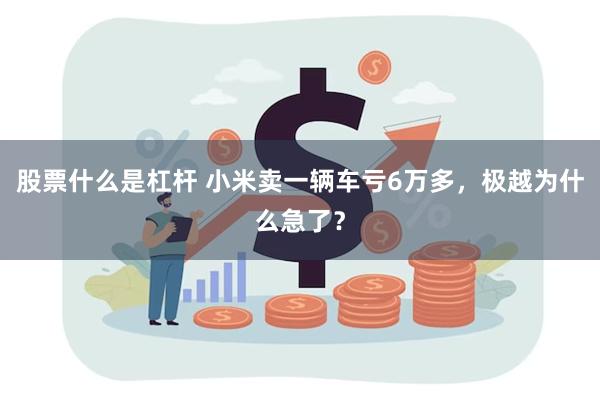 股票什么是杠杆 小米卖一辆车亏6万多，极越为什么急了？