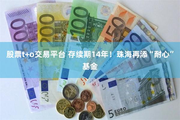 股票t+o交易平台 存续期14年！珠海再添“耐心”基金