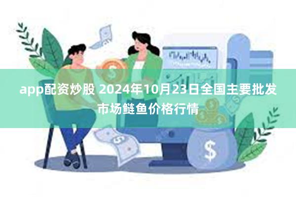 app配资炒股 2024年10月23日全国主要批发市场鲢鱼价