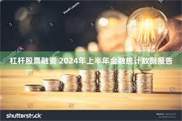 杠杆股票融资 2024年上半年金融统计数据报告