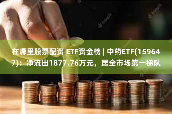 在哪里股票配资 ETF资金榜 | 中药ETF(159647)