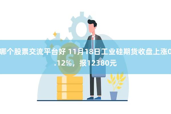 哪个股票交流平台好 11月18日工业硅期货收盘上涨0.12%