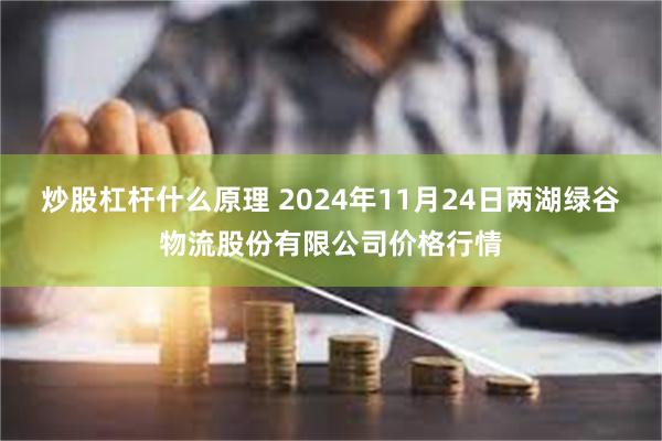 炒股杠杆什么原理 2024年11月24日两湖绿谷物流股份有限