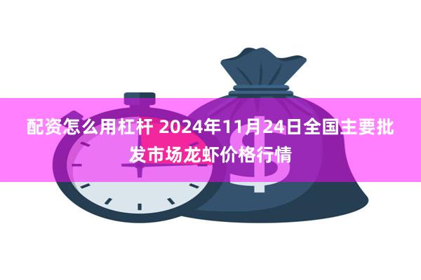 配资怎么用杠杆 2024年11月24日全国主要批发市场龙虾价