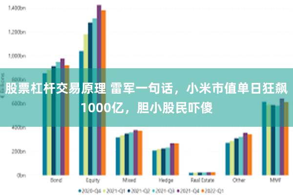 股票杠杆交易原理 雷军一句话，小米市值单日狂飙1000亿，胆