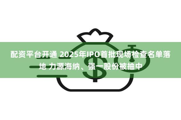 配资平台开通 2025年IPO首批现场检查名单落地 力源海纳